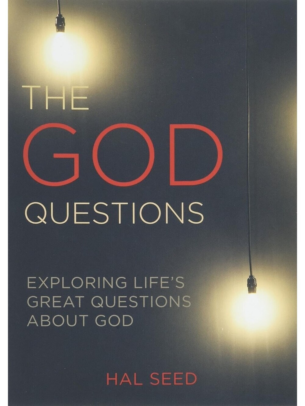 The God Questions: Exploring Life's Great Questions about God by Seed, Hal